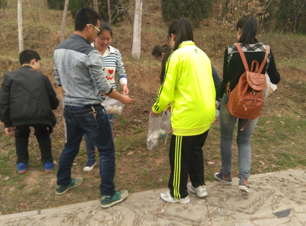 员工党小组捡废弃垃圾现场